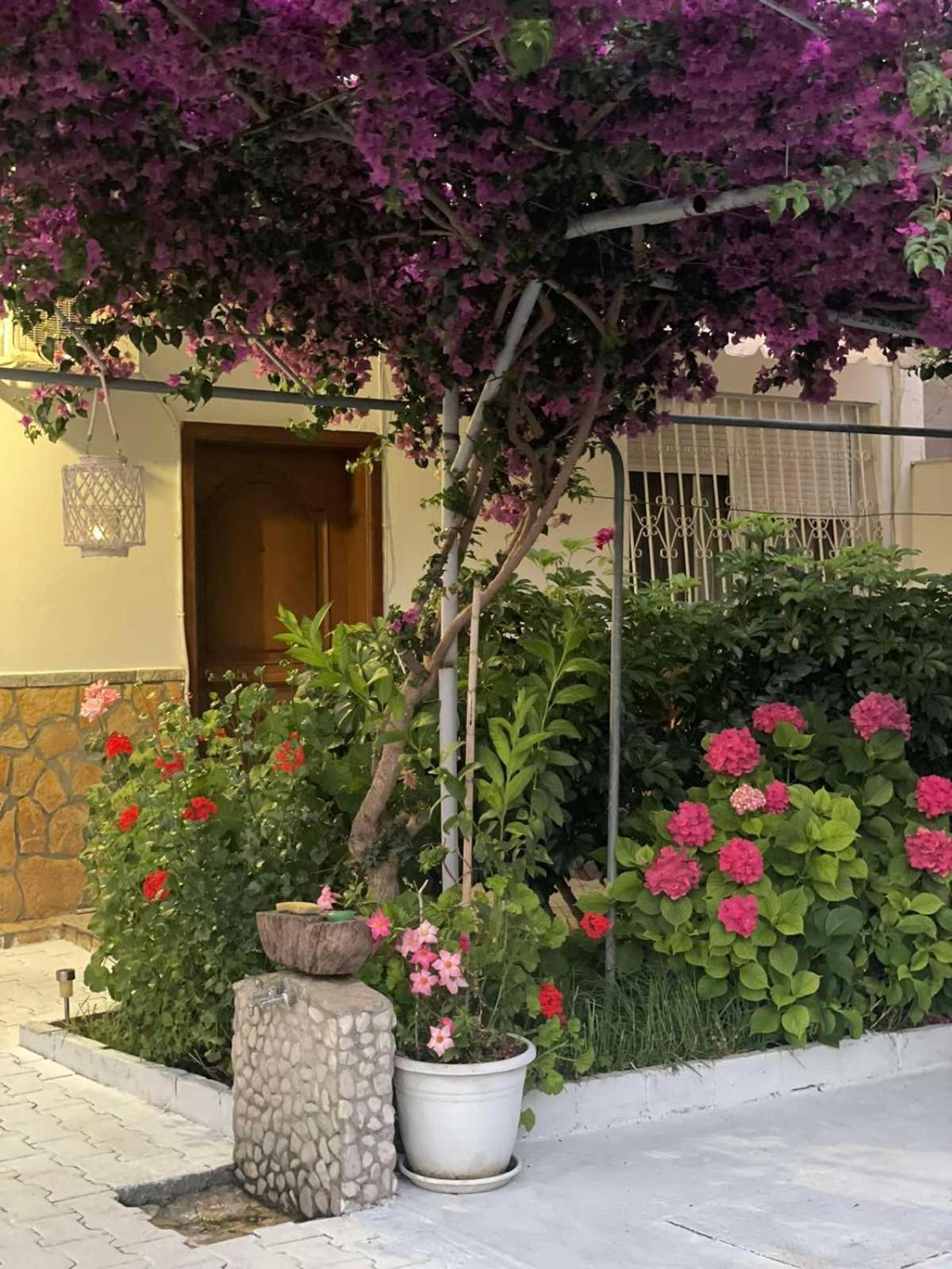 Apartments Athina Bashkia e Orikumit Exteriör bild